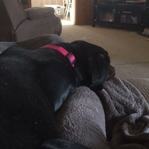 Meet your Posher, Vicky